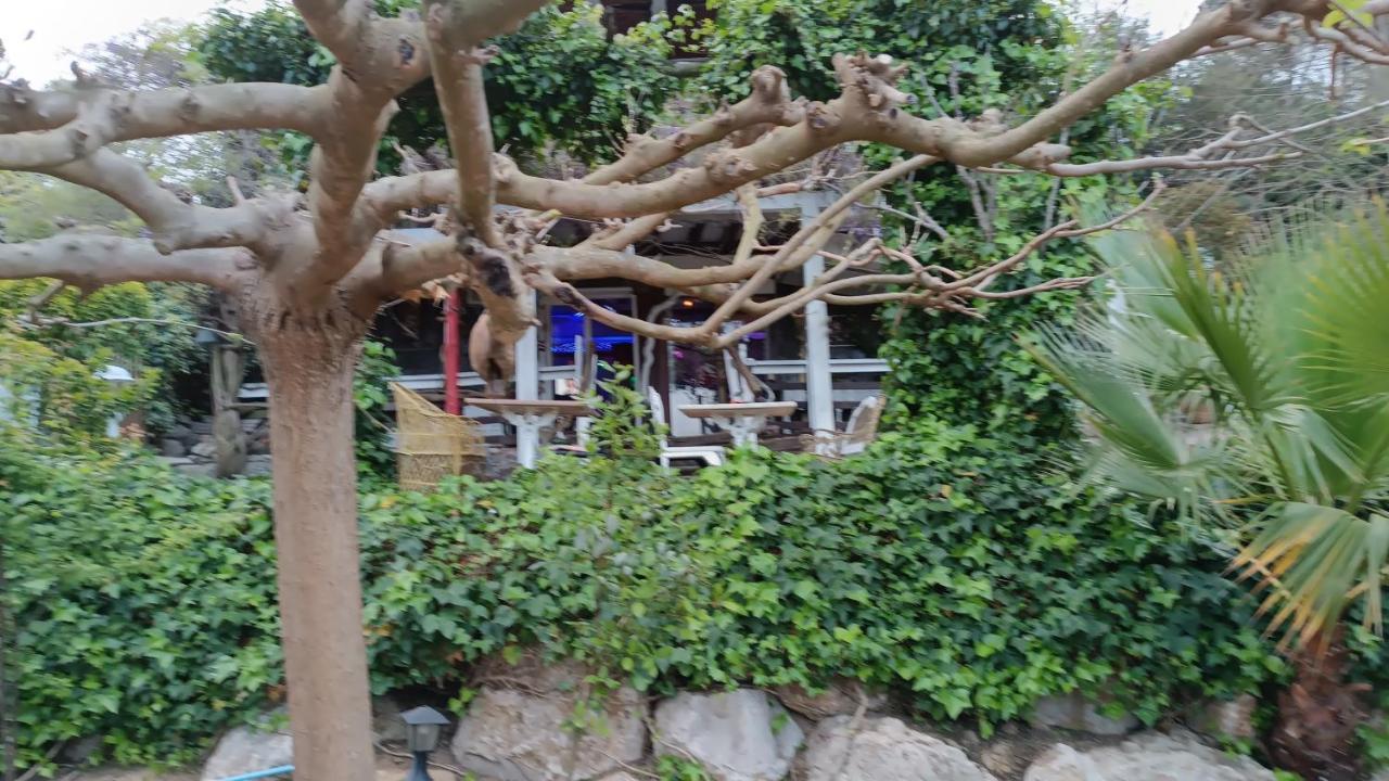 Mare Maravella Costa Brava Nature Tordera Bagian luar foto